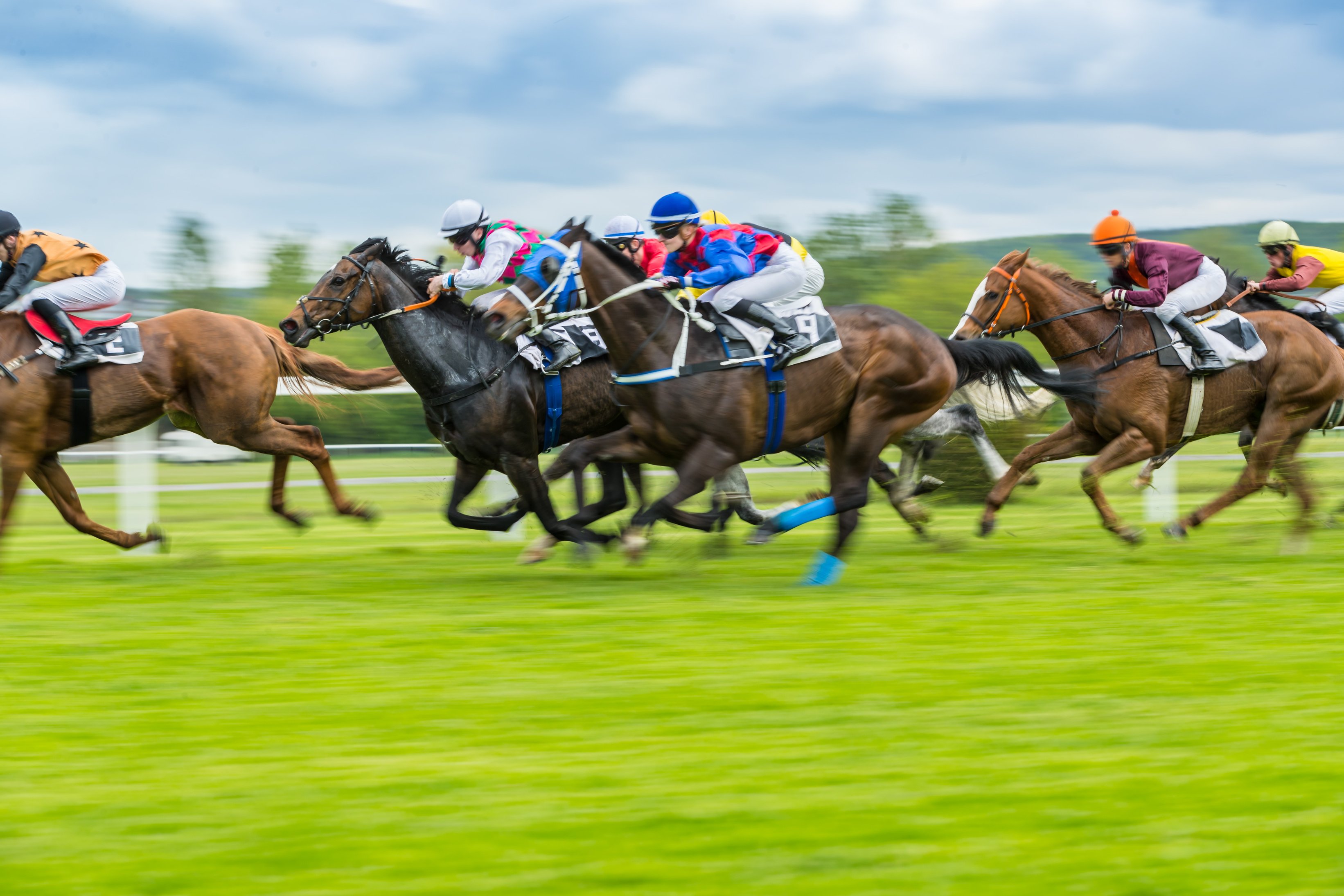 Horse Racing Outdoor Derby