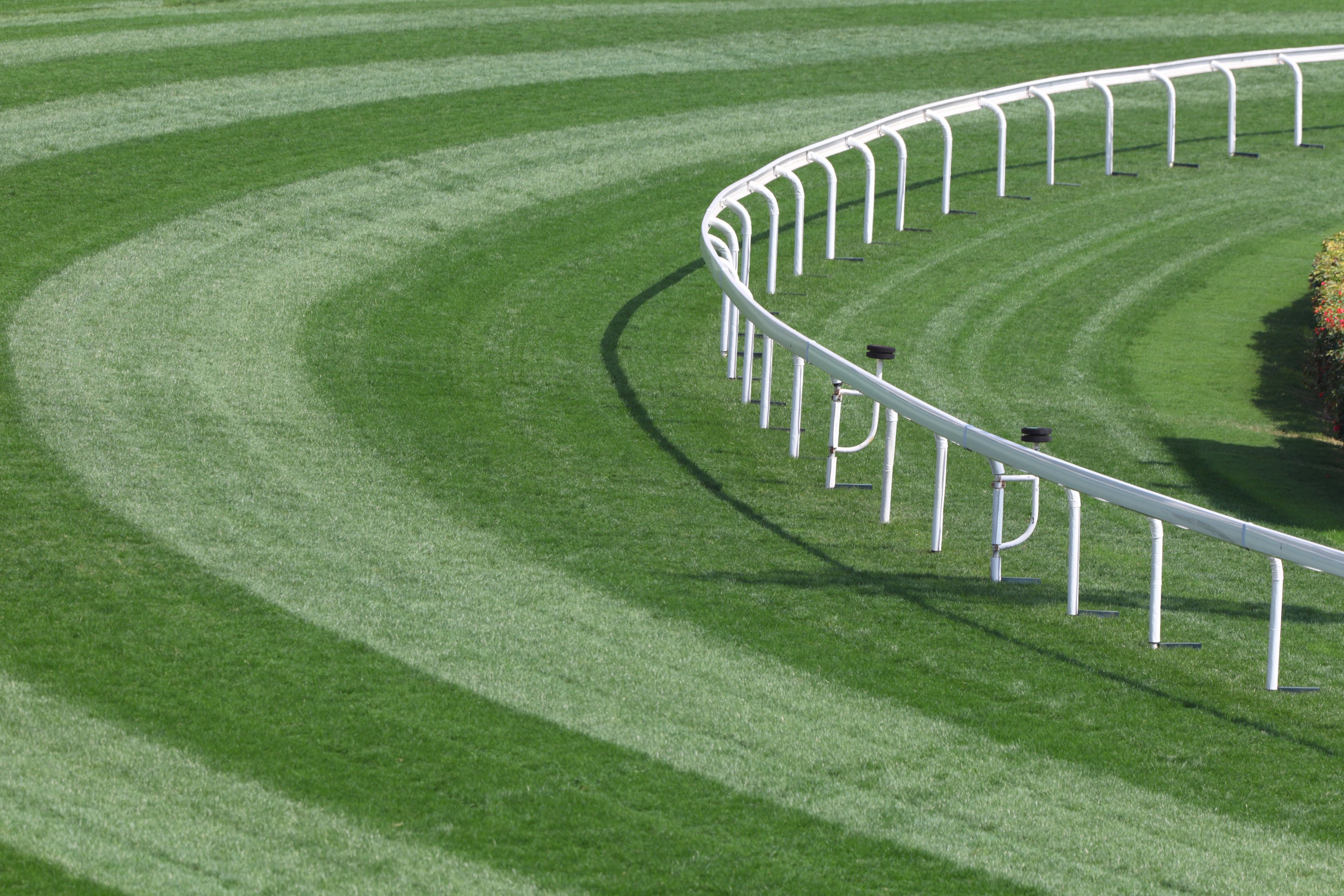 Horse Racing Track